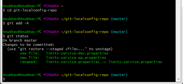 将Spring Cloud Config服务器连接到本地Git存储库