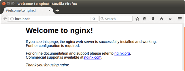 Software NGINX 2